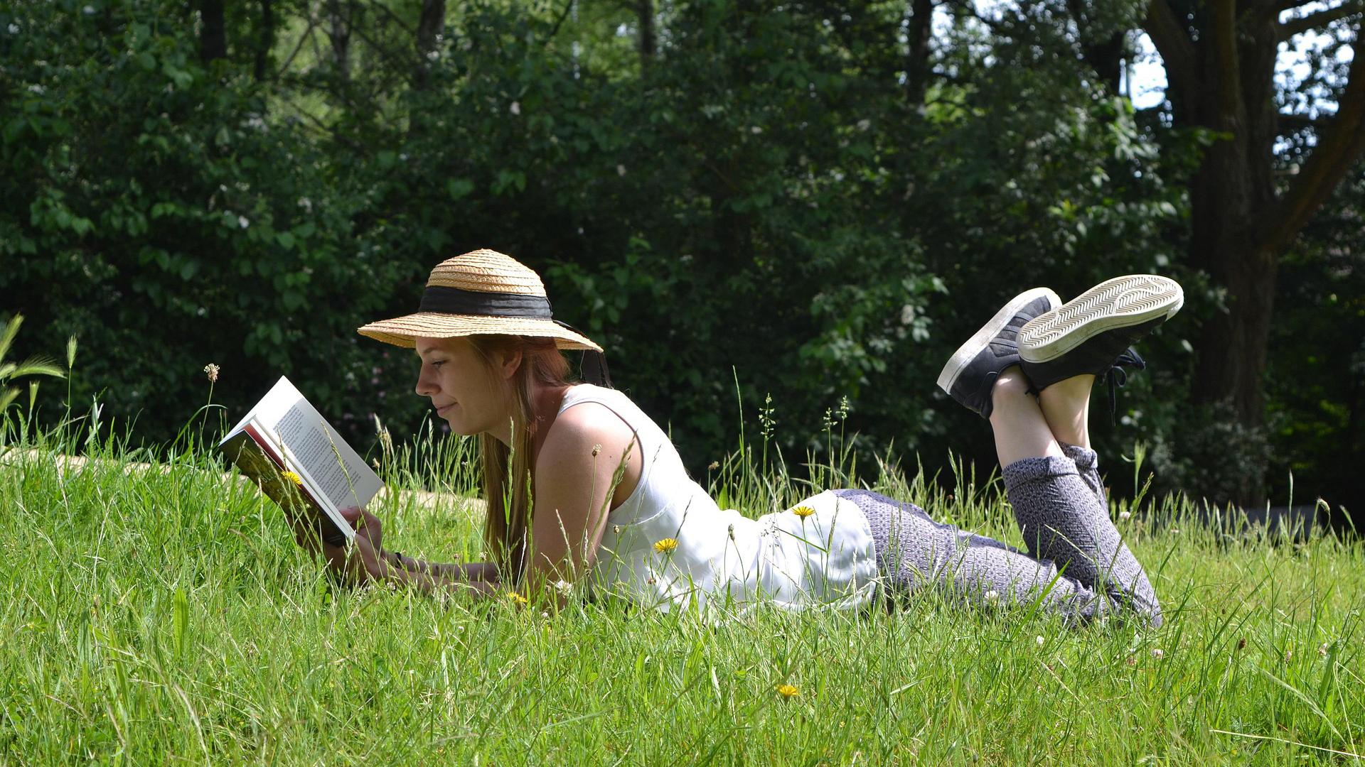 bibbornem-reading-book-1500650_1920 auf pixabay